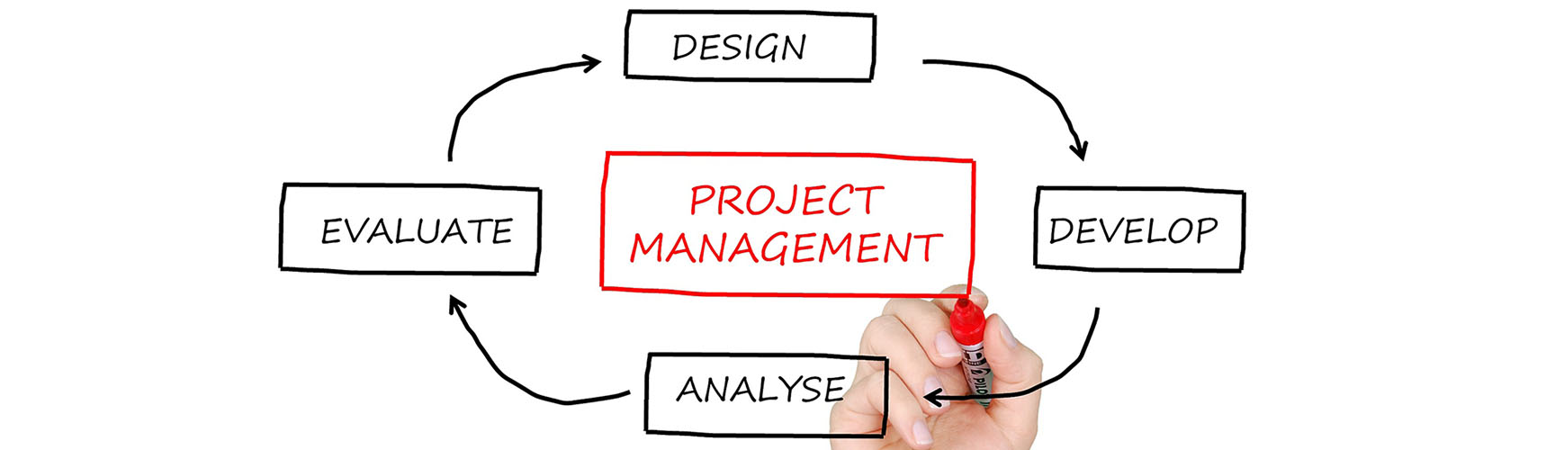 project-management-banner